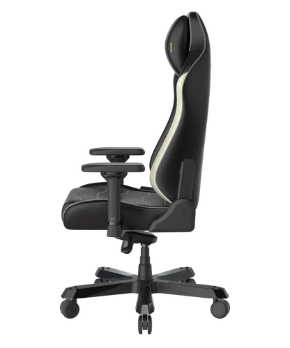 Série DXRACER MASTER